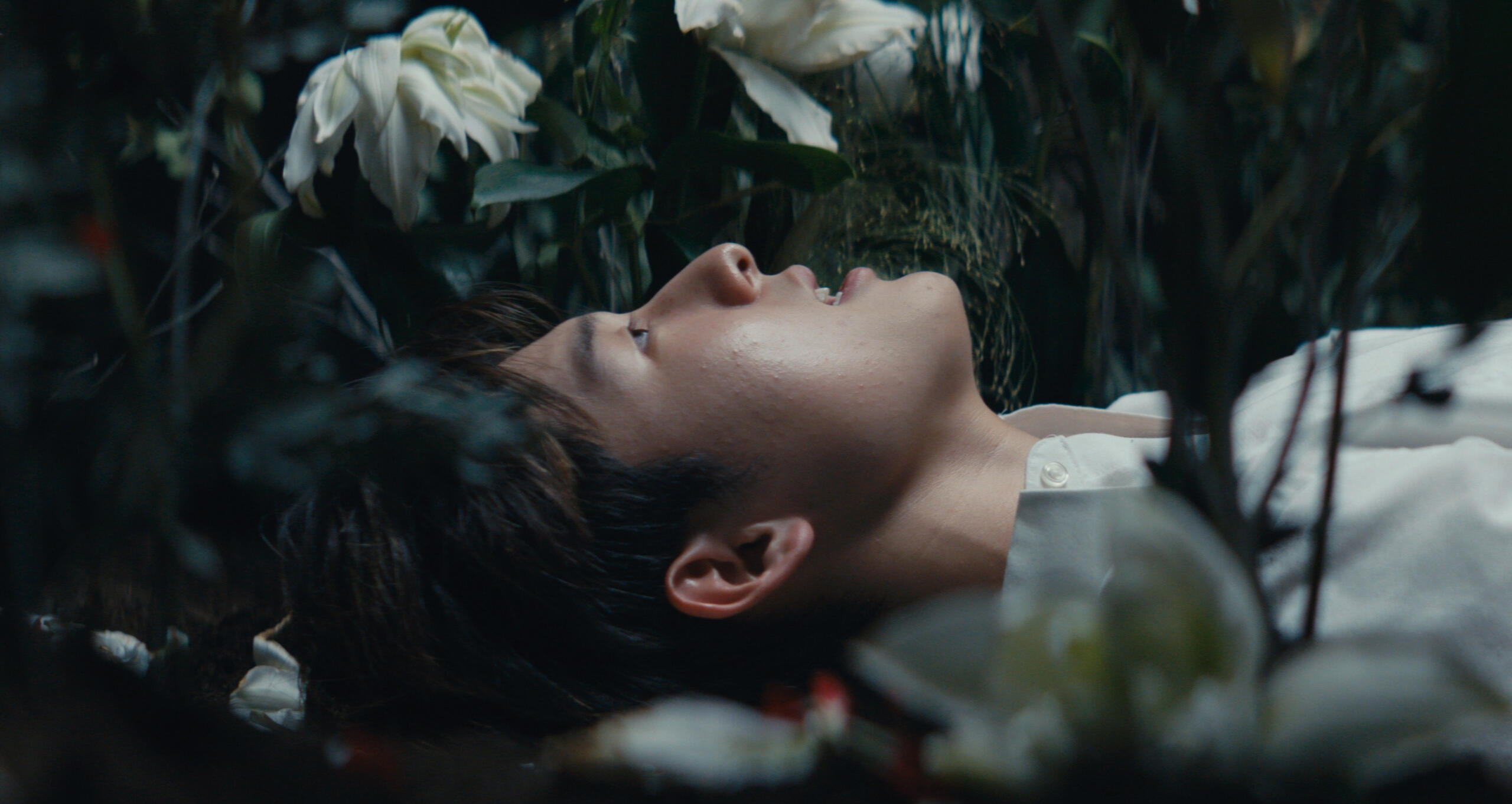 evan pak - anesthetic || director / editor